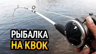 СОМ НА КВОК!!! РЫБАЛКА ОДНОЙ ПОКЛЁВКИ. ВЕЧЕРНИЙ ВЫХОД.