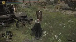 Elden Ring unlimited Heal demonstration
