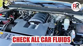 Check ALL Your Vehicle's Fluids Complete How To Guide