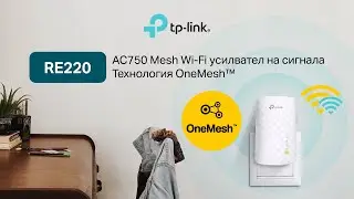TP-Link 