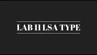 LAB 11 LSA TYPE