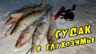 FISHING No SHOW-OFF! We Search, We Drill, We Catch! Pike Perch Fishing with Vib and Spinner. Wint...