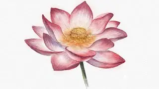 Watercolor Lotus flower | Procreate - how to paint | Digital watercolor