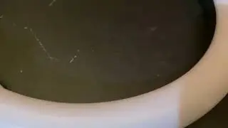 XXL XXL XXL XXL FREESTYLE 2024 XXL 2025 | Xxwd5000xa | XXL XXL XXLXXL FREESTYLE