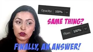 FLOW V/S OPACITY: WHAT'S THE DIFFERENCE? (Answered!)