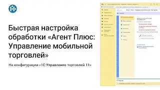 Быстрая настройка обработки «Агент Плюс: Управление мобильной торговлей» на «1С:УТ» редакции 11