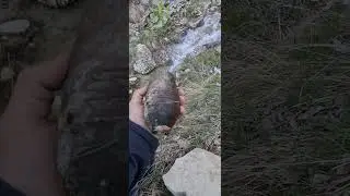 болванка от миномёта 🤦 #чечня