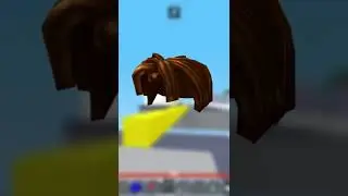 What is the least valuable Avatar Item on Roblox