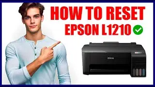 HOW TO RESET EPSON L1210 PRINTER