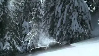 Очень трогательная реклама отеля!