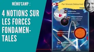 4 notions sur les FORCES FONDAMENTALES