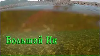 Подводный мир реки Большой Ик ( Мурадымовское ущелье)