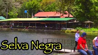 Visitando Selva Negra Matagalpa Nicaragua