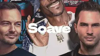 Funk D & Waldo - Bad Intentions (feat. Snoop Dogg)