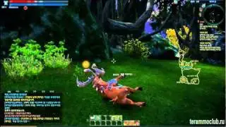 TERA Elin (Popori) Warrior vs Noruks OBT