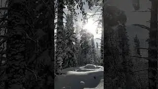 2 января 2024 г.