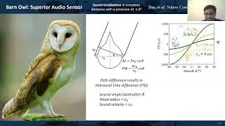 NACK - Novel Two-dimensional (2D) Materials and Devices for Biomimetic Sensing and Computing