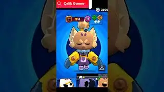 Kedi KID HAKKINDA BAZI BİLGİLER ABONE OLMAYAN BİZDEN DEĞİLDİR #shorts #keşfet