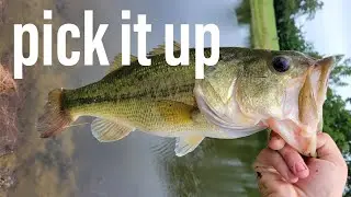 start fishing a lipless crankbait