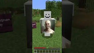 I Bring Minecraft Legends to Life!