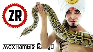 2rbina 2rista - Furry whores