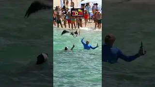 Sharks soon to come, get out of the water !!