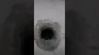 ТРОФЕЙНАЯ ЩУКА НА ЖЕРЛИЦУ