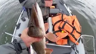Волга. Куйбышевское водохранилище. Ловля на Джиг
