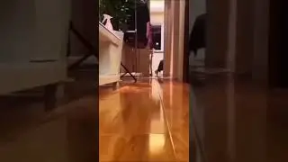 тыгыдык 