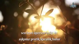 Sen Beni Öpersen Belki De Ben Fransız Olurum - Ah Muhsin Ünlü