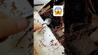 How to remove the hood from your car￼