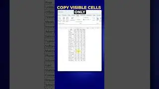How to copy only visible cells in excel (step by step guide)