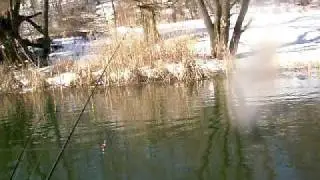 Моя первая щука, сезон 2010 -  на отводной поводок