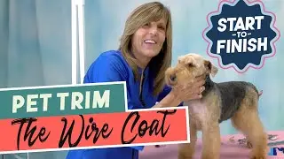 Start to Finish: Grooming The Wire Coated Dog Breeds (Trailer)