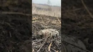 Пошук триває 