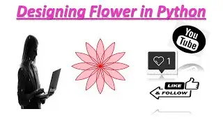 Designing Flower 🌸 in Python