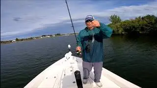 Fishing And Seagrass Report In The Indian River Lagoon, Sebastian