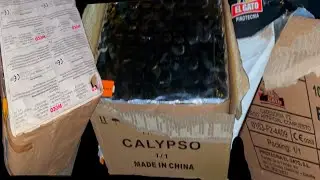 3 BLOKKEN FAKKELEN | CALYPSO MANDARIN EL GATO FIESTA  DA CRACKER WECO|