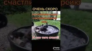 12 ноября 2020 г.