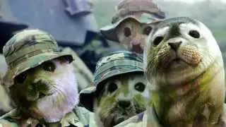 За Морской спецназ! (юмор)