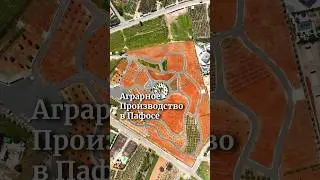 Аграрное производство в Пафосе. Полное видео уже на канале