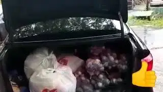КУМАК  АЗ ТАРАФИ МАРКАЗИ ТОЧИКОН