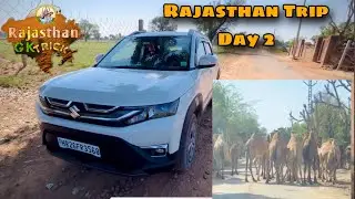 Rajashan trip day 2 with brezza2025 #rajasthantrip #brezza2025
