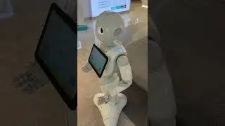 Сбор заявок в Гугл Форму - незаконно