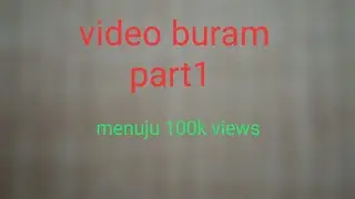 FOREST FIND || AUDIO LIBRARY (VIDEO BURAM PART 1)