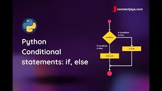 Flow control in python || Python if-else statement
