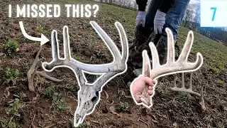 I FOUND A BUCK IN MY VIDEO?! // Shed Hunting 2024 E7