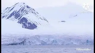 мы родились в сибири//беги,медведь, беги😁//обзор канала