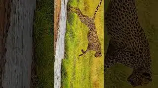 Nature edit 4k