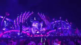 Alan Walker played my Remix at EDC Orlando 2021